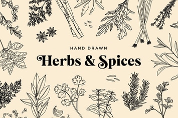 Hand Drawn Herbs & Spices
