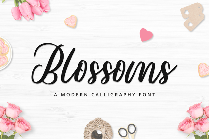 Modern Calligraphy Font