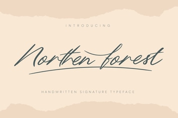 Northern Forest | Handwritten Signature Typeface