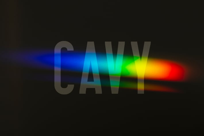 Cavy