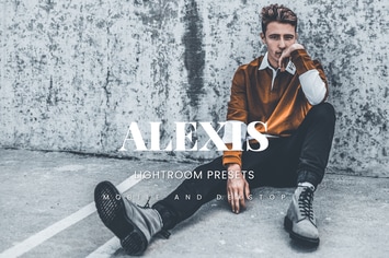 Alexis Lightroom Presets Dekstop and Mobile