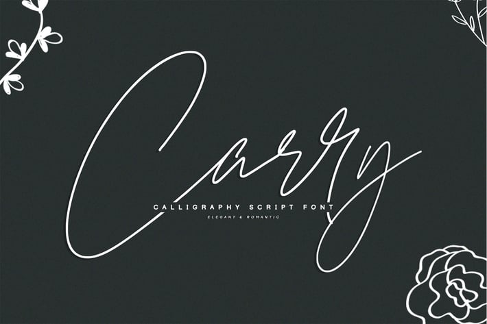 Carry | Modern Signature Font