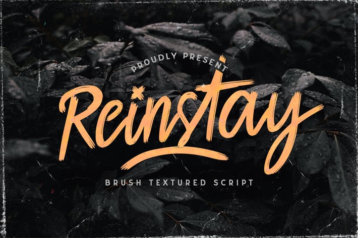 Reinstay - Brush Script Font