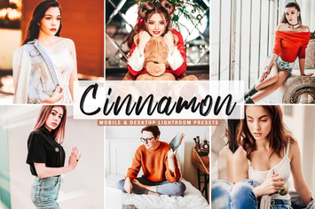 Cinnamon Mobile & Desktop Lightroom Presets