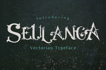 Seulanga Decorative Font 