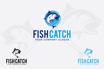 fish catch