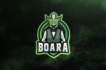Boara Sport and Esports Logos