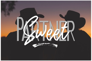 Sweet Partner Brush
