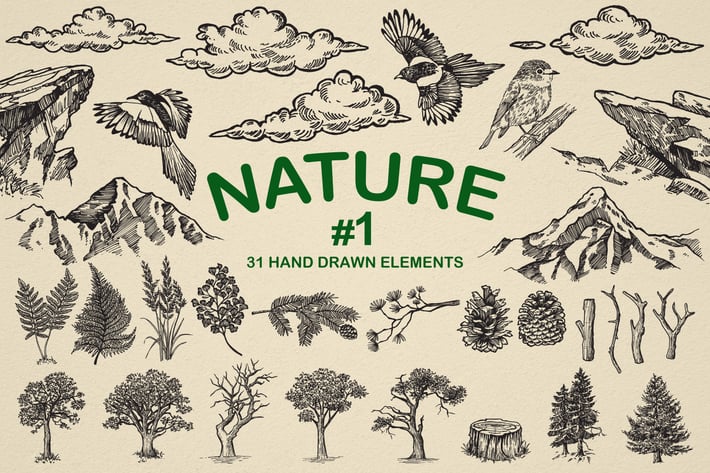 Nature Forest Hand drawn Elements #1