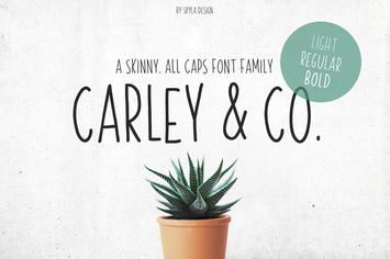 Skinny Font family Carley & Co.