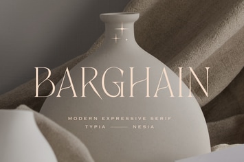 Barghain - Modern Beauty Elegant Aesthetic Serif