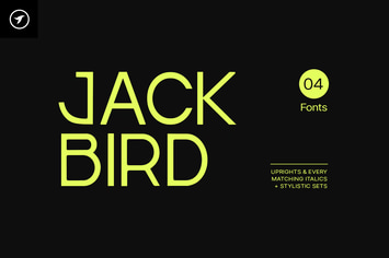 Jackbird - Modern Display / Headline Typeface