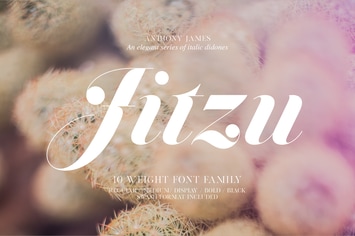 Jitzu Typefamily