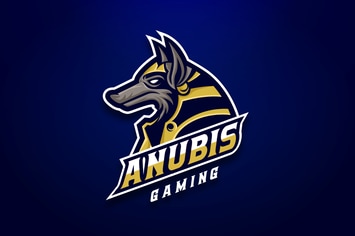 Anubis Sport And Esport Logo Vector Template