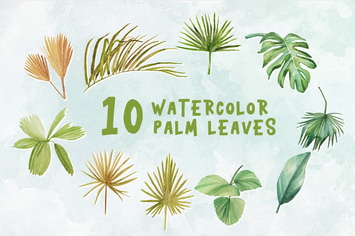 10 Watercolor Palm Leaves Illustration Graphics