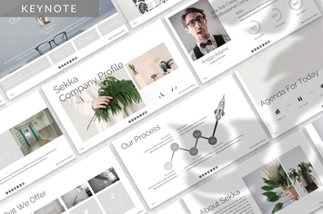 Sekka - Business Keynote Template