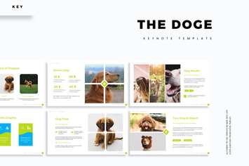 The Doge - Keynote Template