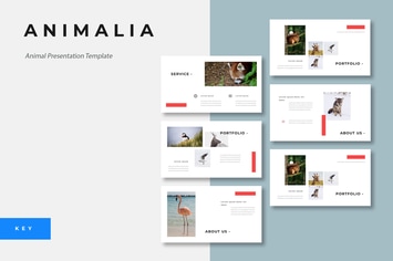 Animalia - Animal Keynote Presentation Template