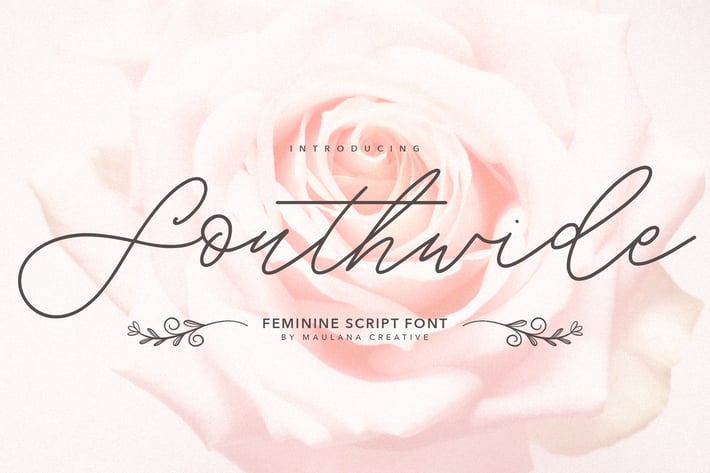 Southwide Feminine Script Font