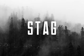 STAG - Modern Display / Headline / Logo Typeface