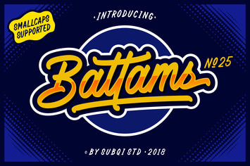 AMR Battams No 25 Pro