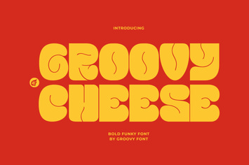 Groovy Cheese