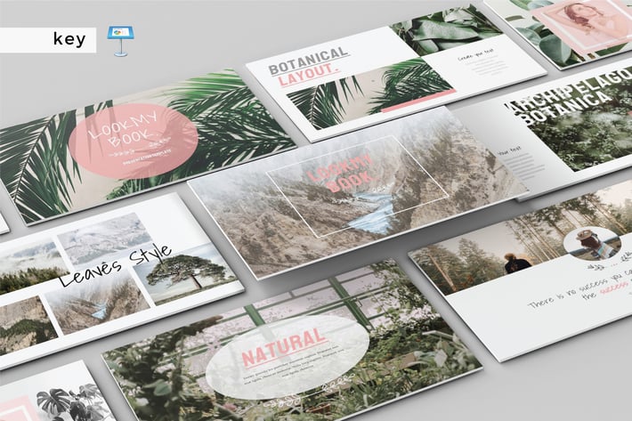 LOOK MY BOOK - Multipurpose Keynote Template V152
