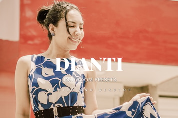 Dianti Lightroom Presets Dekstop and Mobile
