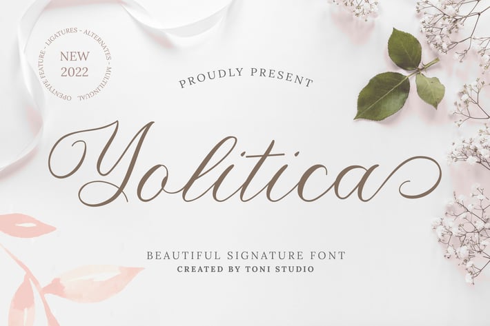 Yolitica |modern handwritten script font