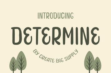 Determine - Handwriting Display Font