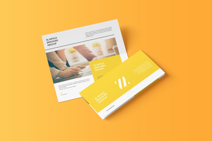 DL Bifold Brochure Mockup