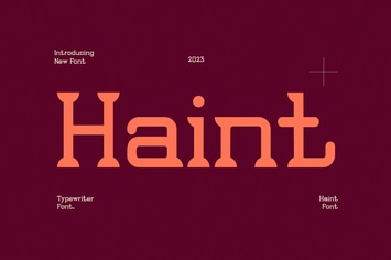 Haint - Modern Serif Font