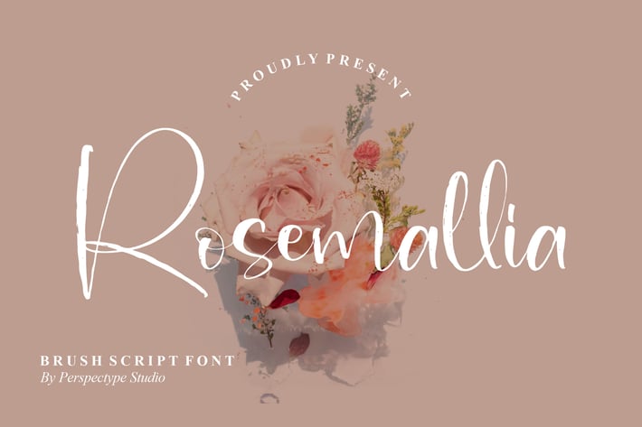 Rosemallia Brush Script Font