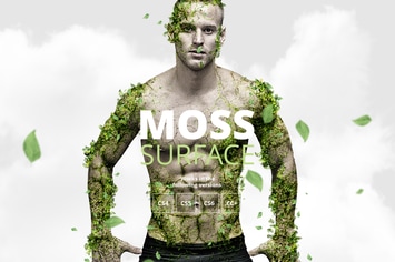 Moss Photoshop Action