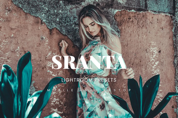 Sranta Lightroom Presets Dekstop and Mobile