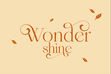 Wondershine