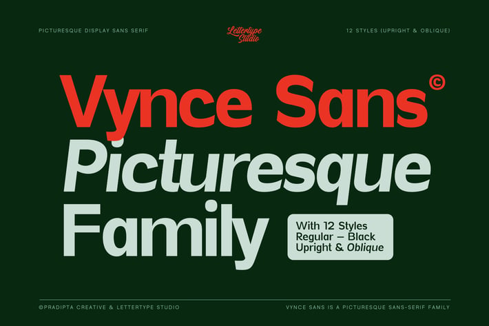Vynce Sans a Unique Picturesque Display Family