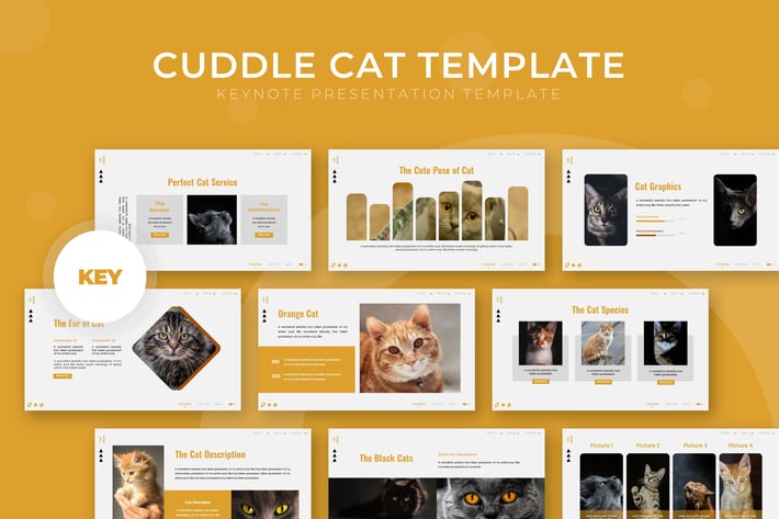 Cuddle Ca - Keynote Template