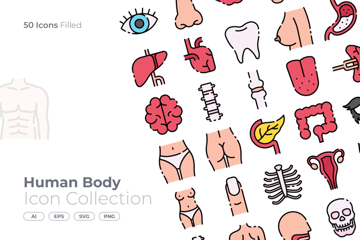 Human Body Filled Icon