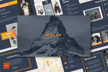 Molex - Powerpoint Template