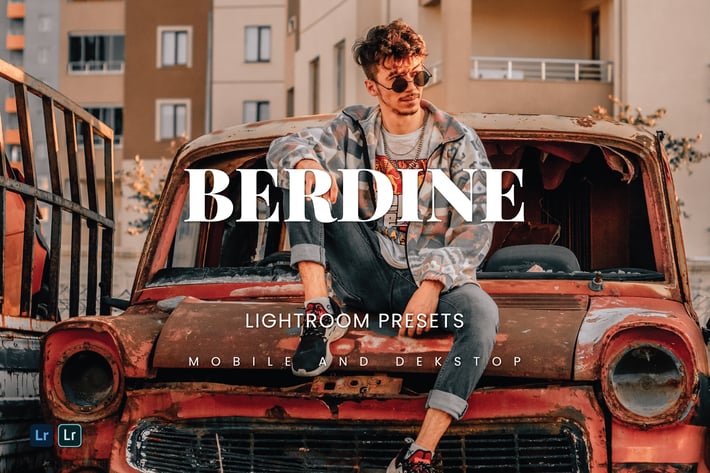 Berdine Lightroom Presets Dekstop and Mobile