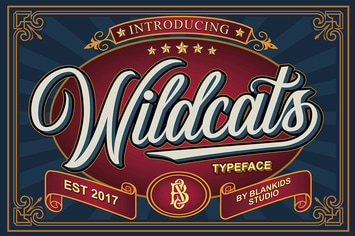 Wildcats - Copperplate Font