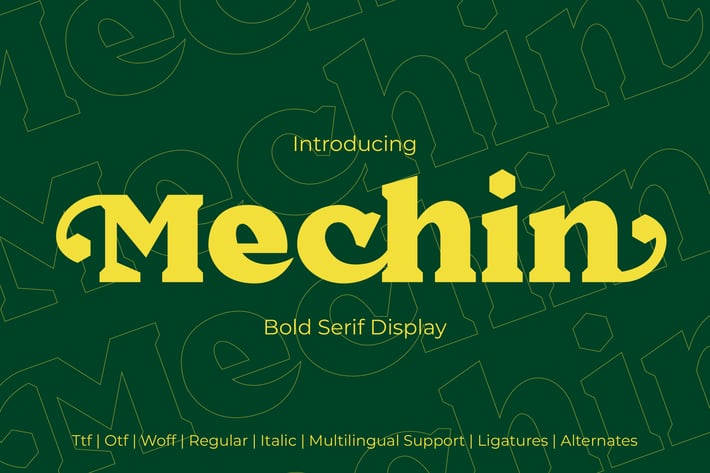 Mechin Bold Serif Display