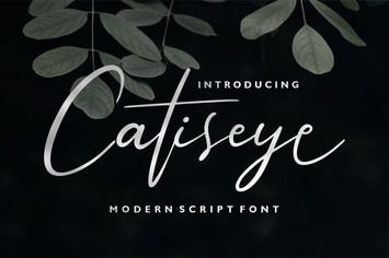 Catiseye | Modern Script Font