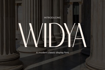 Widya - Classic Sans Serif Modern Font