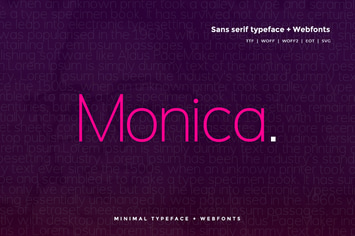 Monica - Modern Typeface + WebFonts