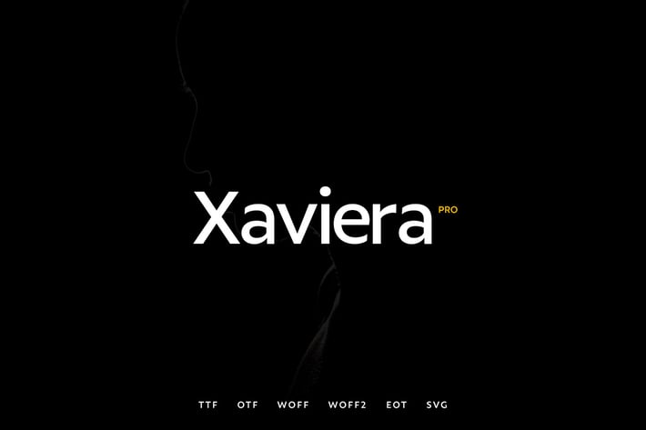 Xaviera - Modern Typeface + WebFonts