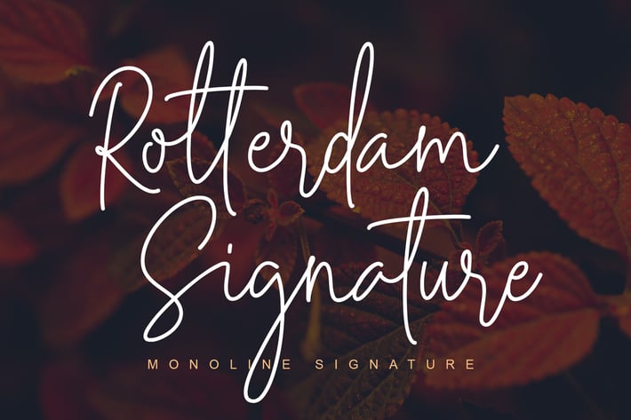 Rotterdam 