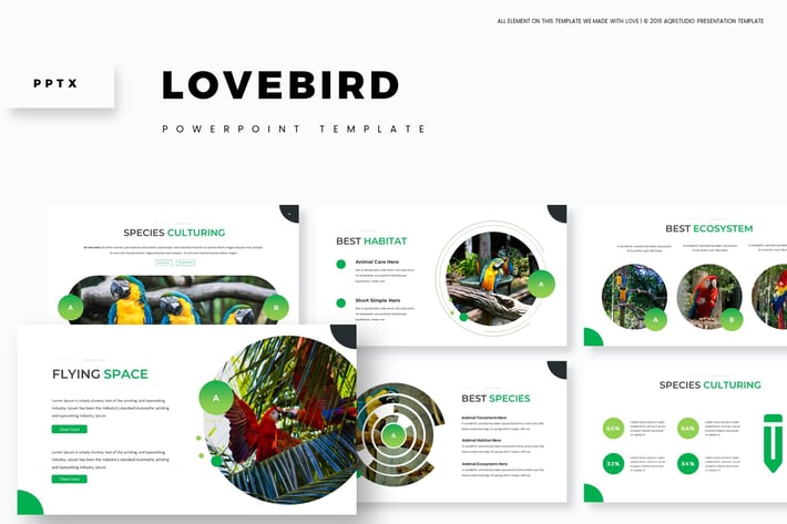 Love Bird - Powerpoint Template