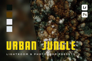 6 Urban Jungle Lightroom and Photoshop Presets